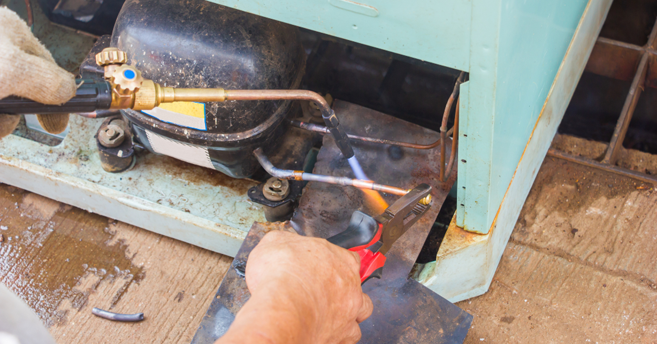 Atendimento foi rápido.